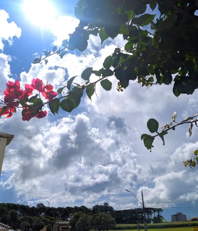 Imagem referente a Quarta-feira deve ser abafada com máxima de 31°C em Cascavel