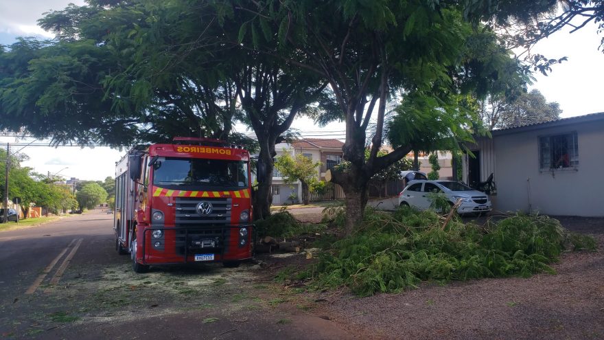 Militares do Corpo de Bombeiros realizam poda de árvore no Santa Felicidade