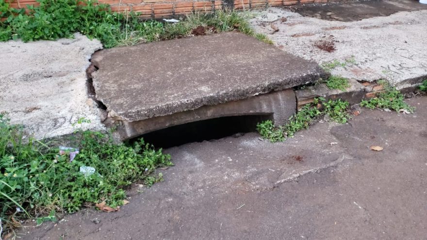 Cachorro é resgatado pelos Bombeiros após cair em bueiro no Interlagos