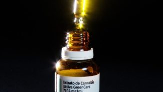 Governo de SP regulamenta fornecimento de cannabis medicinal pelo SUS