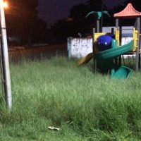 Imagem referente a Abandono e perigo: Comunidade pede limpeza de praça no Floresta