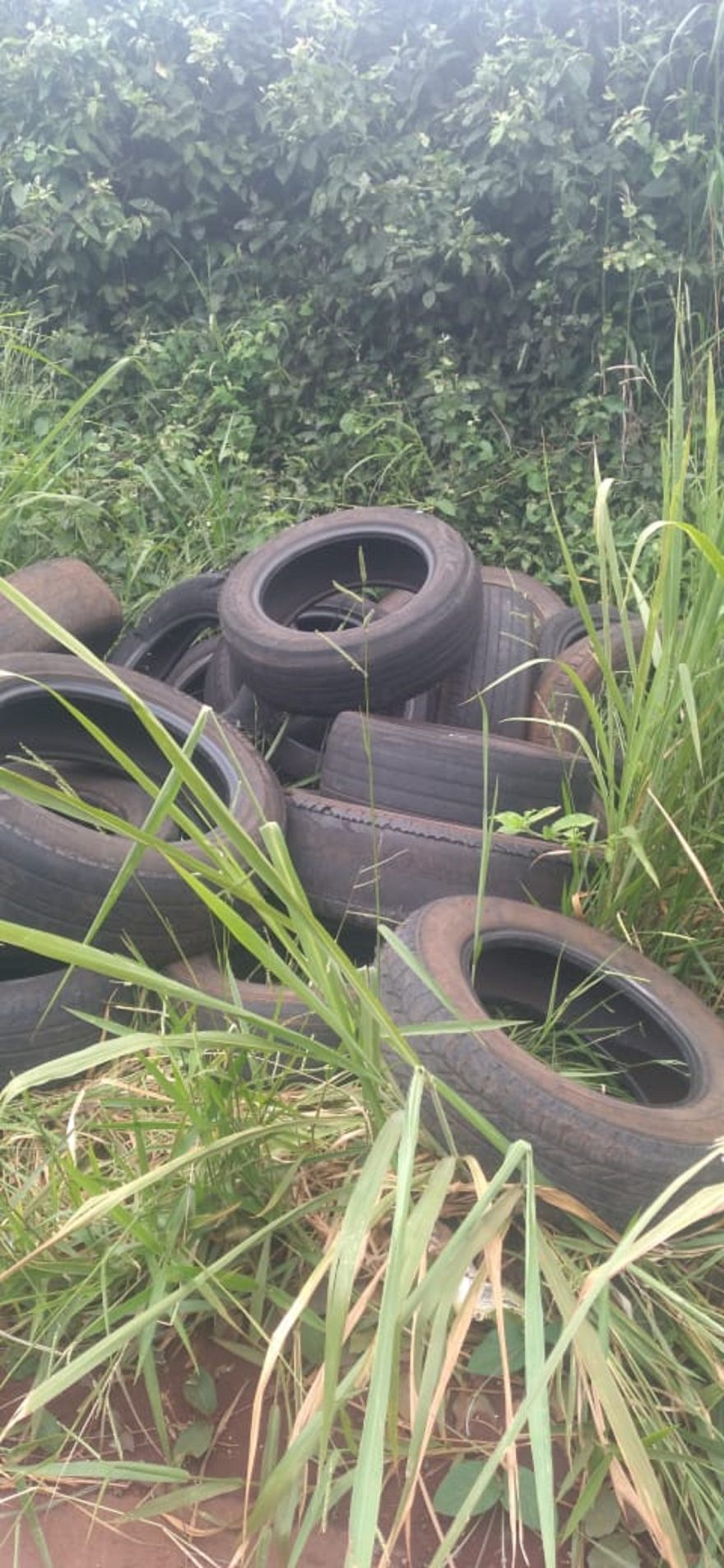 Descaso ambiental: “mar” de pneus é encontrado às margens da PR-180