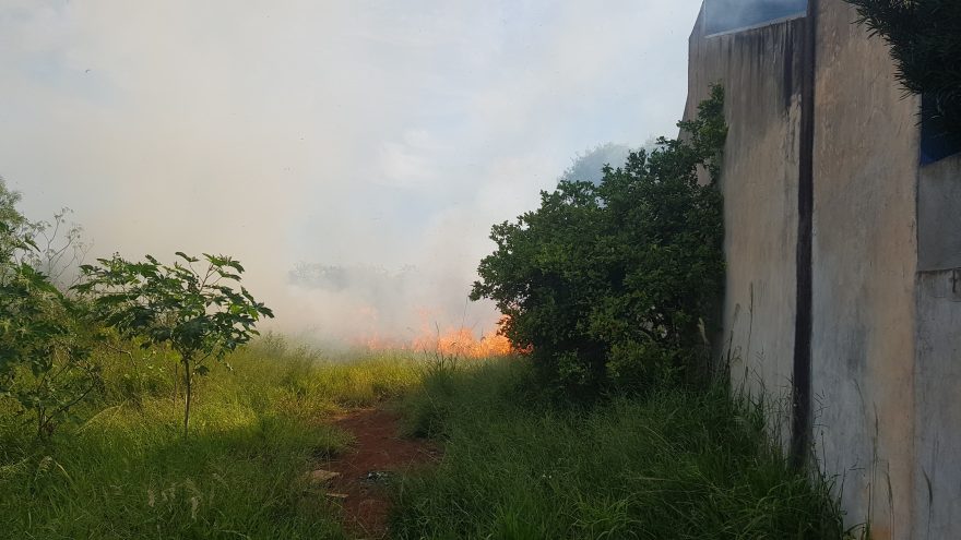 Incêndio em vegetação preocupa moradores no 14 de Novembro