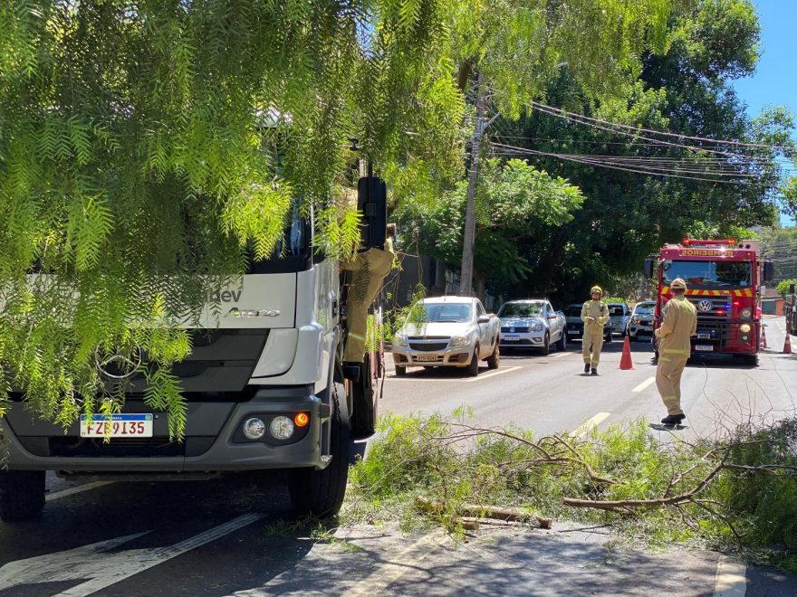 Árvore cai em cima de caminhão e Rua Presidente Kennedy fica parcialmente interditada