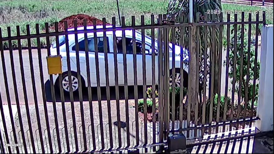 Vídeo mostra momento em que irmão de garota de programa rende ‘cliente’ durante assalto
