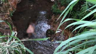Cadáver é encontrado em córrego no Bairro Interlagos