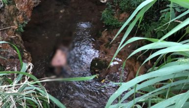Imagem referente a Cadáver é encontrado em córrego no Bairro Interlagos