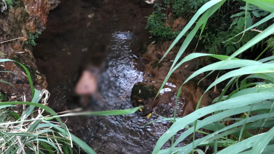 Cadáver é encontrado em córrego no Bairro Interlagos