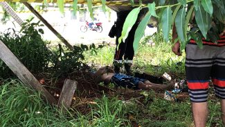 Homem é encontrado sem vida em terreno baldio