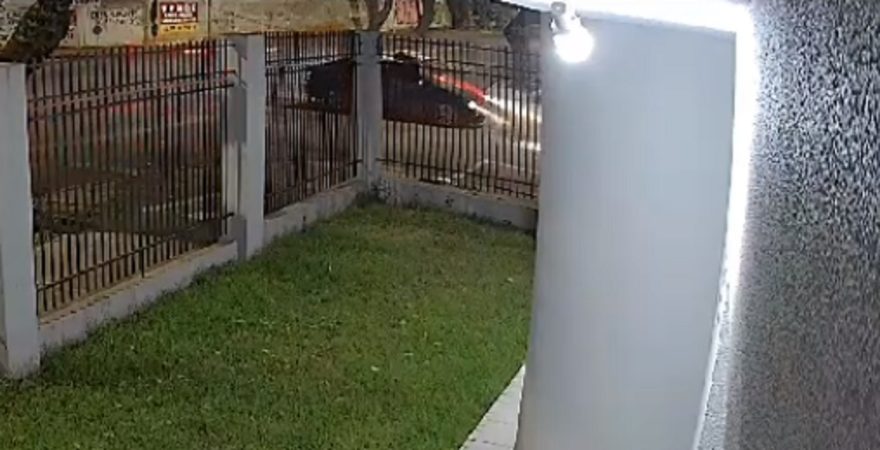 Câmera registra acidente que deixou idosa ferida na Rua Manoel Ribas