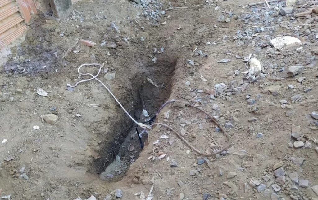 Homem é preso em Toledo após esfaquear e tentar enterrar cão vivo