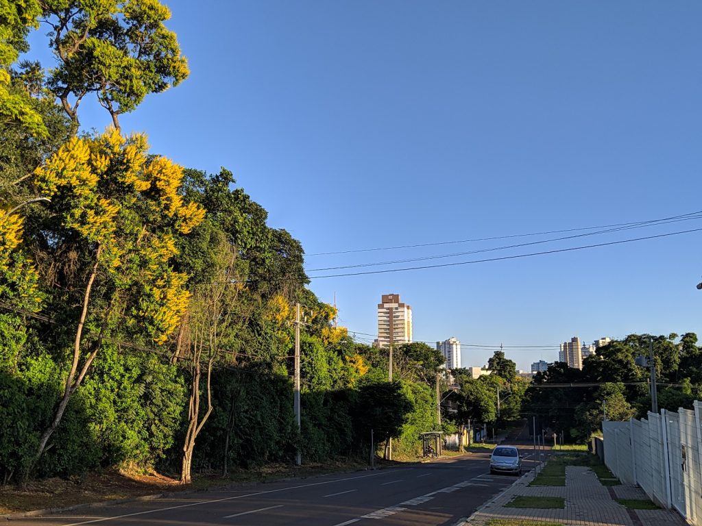 Dia de sol e máxima de 29°C nesta quinta-feira em Cascavel