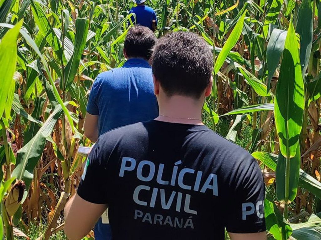 Homem esfaqueia mulher na frente da filha e se esconde em milharal