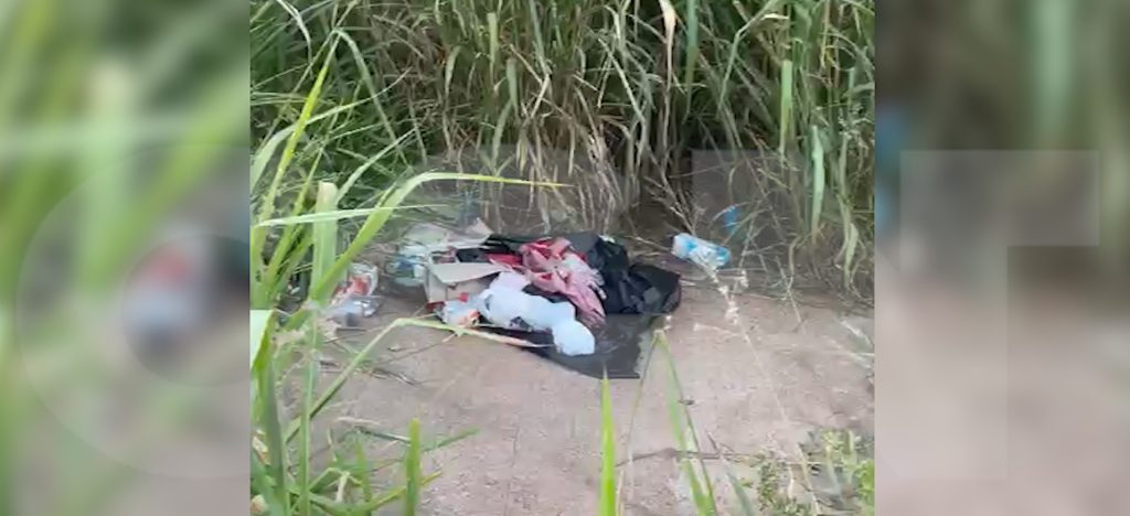 Internauta reclama de mato alto e falta de coleta seletiva no Esmeralda