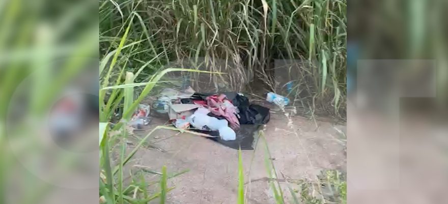 Internauta reclama de mato alto e falta de coleta seletiva no Esmeralda