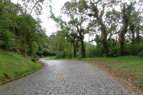 Três empresas disputam edital de monitoramento de áreas de risco da Estrada da Graciosa Imagem referente a Três empresas disputam edital de monitoramento de áreas de risco da Estrada da Graciosa