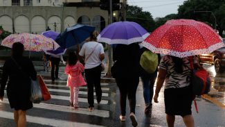 Chuvas em SP provocam alagamentos e queda de árvores