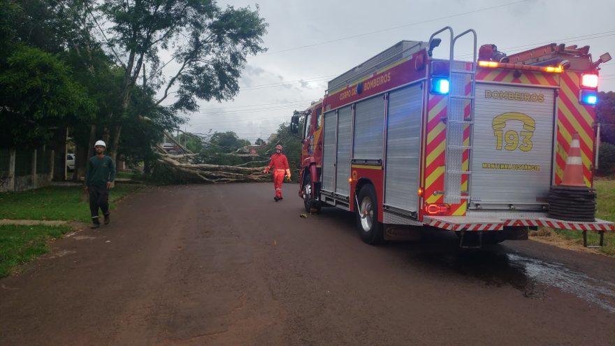 Árvore tomba sobre fios de alta tensão no Bairro Floresta