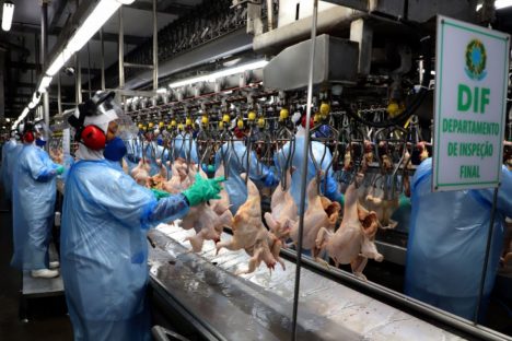 Secretários da Agricultura pedem ao Ministério rigor nas regras contra influenza aviária