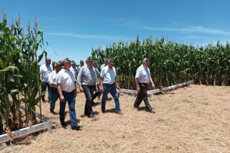 Tradicionais eventos das cooperativas abrem calendário agrícola no Oeste do Paraná