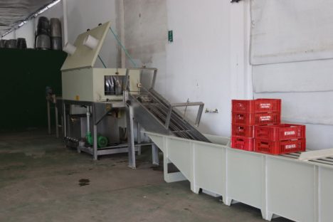 Ceasa Paraná e Sindaruc firmam parceria para otimizar higienização de caixas de frutas