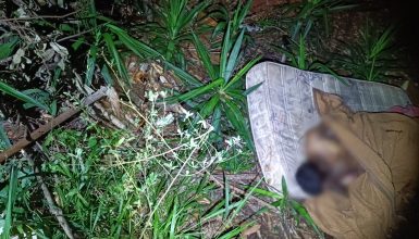 Imagem referente a Cadáver é encontrado no Parque São Paulo