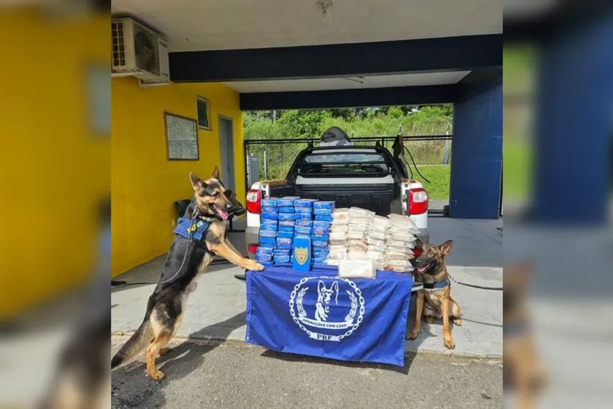 PRF apreende 76 quilos de cocaína em caminhonete que saiu de Umuarama