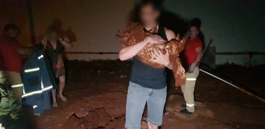 Cachorro é resgatado por equipe de Bombeiros no Cancelli