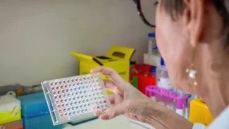 Butantan desenvolve teste que detecta leptospirose em estágio inicial