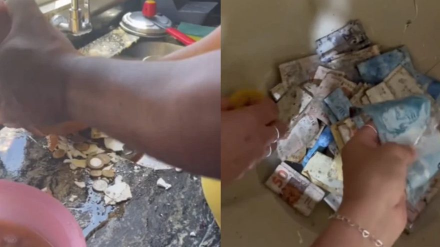 Internauta vira sensação ao mostrar cofre de gesso com notas mofadas
