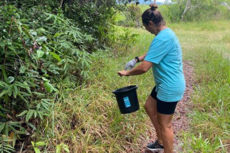 Mutirão recolhe 200 quilos de resíduos no Parque Estadual do Boguaçu, em Guaratuba