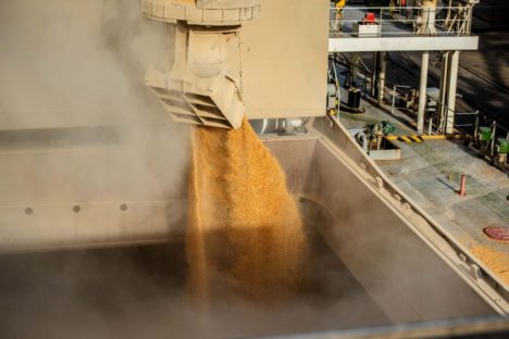 Exportações do agronegócio paranaense cresceram 40,8% em volume em 2023