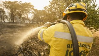 Mais de 17,3 milhões de hectares foram queimados em 2023 no país