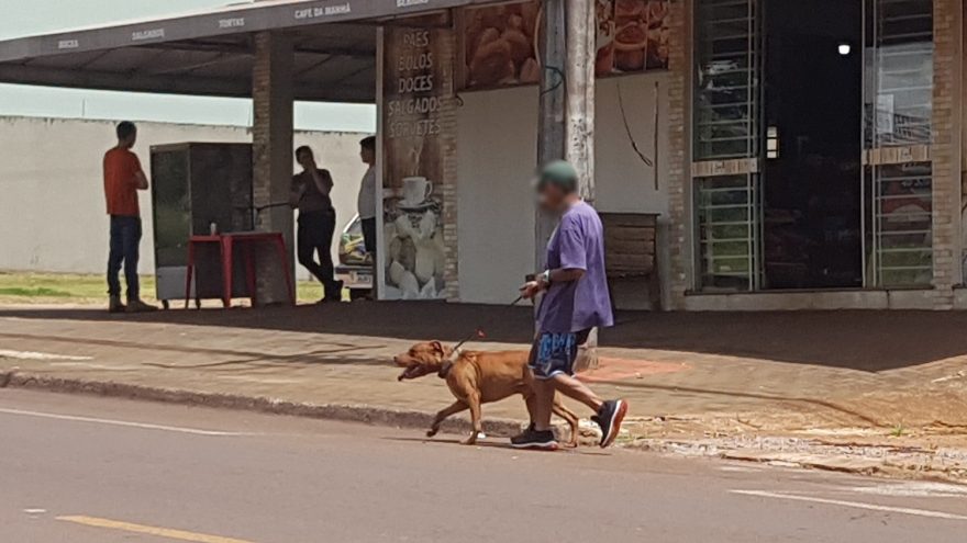 Incomodado com o barulho da igreja, homem ameaça fiéis com cães de grande porte no Universitário