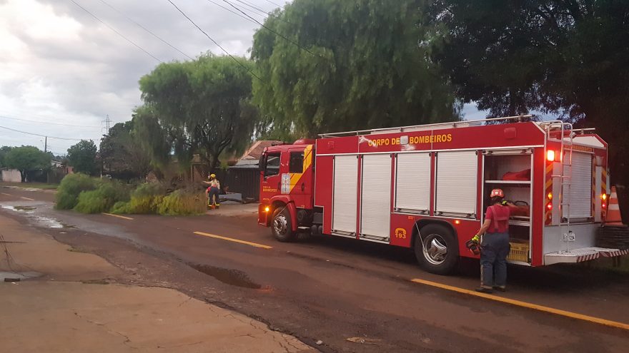 Bombeiros realizam poda de árvore no Santa Felicidade