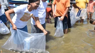 Mutirão solta 150 mil peixes em municípios do Sergipe no fim de semana