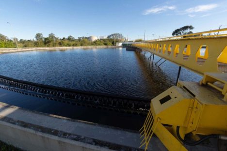 Lançamento irregular de gordura causa 51% dos entupimentos da rede de esgoto em Curitiba