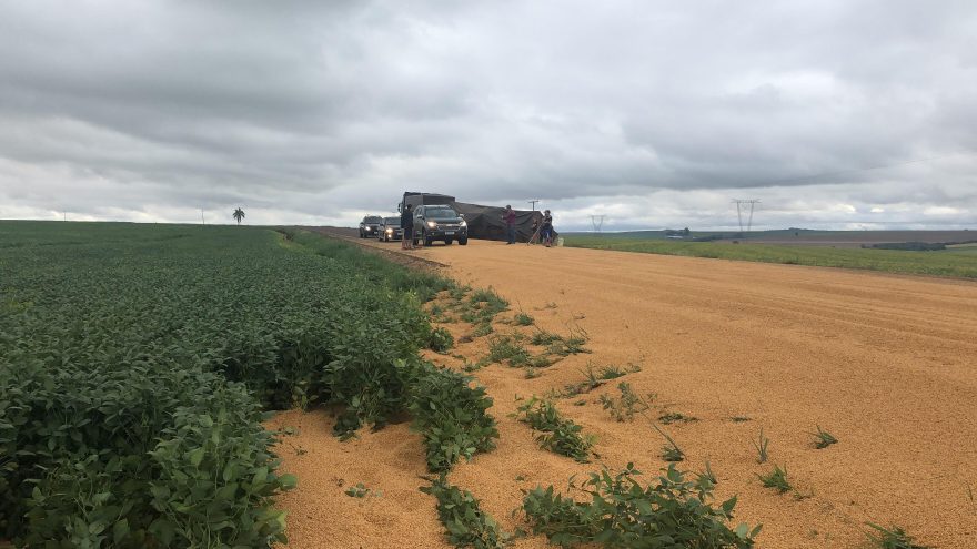 Carreta carregada com soja tomba e espalha carga na PR-486
