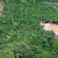 Imagem referente a Desmatamento em áreas protegidas da Amazônia cai 73% em 2023