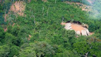 Desmatamento em áreas protegidas da Amazônia cai 73% em 2023