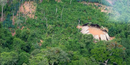 Imagem referente a Desmatamento em áreas protegidas da Amazônia cai 73% em 2023