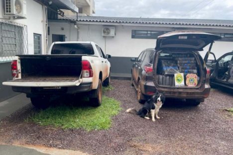 Polícia Militar e Polícia Federal apreendem 2,2 toneladas de maconha em Cascavel
