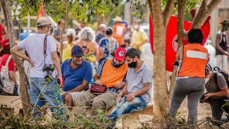 MST completa 40 anos de luta pela distribuição de terras no país