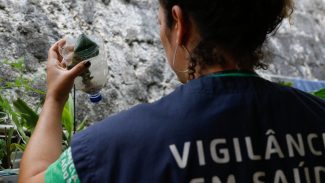 Minas Gerais pode atingir pico de dengue até março