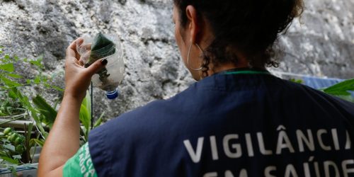 Imagem referente a Minas Gerais pode atingir pico de dengue até março