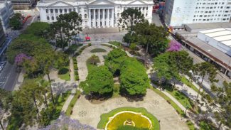 Estado promoverá ação de cidadania e empregabilidade no Dia da Visibilidade Trans