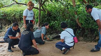 Quatro novos sítios arqueológicos são descobertos em Marajó, no Pará