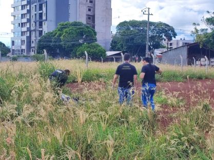 Imagem referente a Corpo é encontrado em terreno baldio por trabalhadores e intriga polícia de Toledo