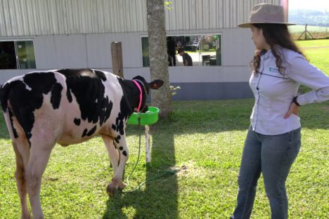 IDR levará raça Purunã, orientações sobre nutrição e técnicas de solo ao Show Rural