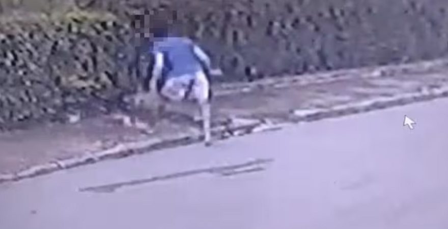 Câmeras registram homem matando cachorro com tijolada